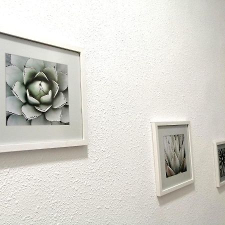 Room In The Center Of Alicante! Bagian luar foto