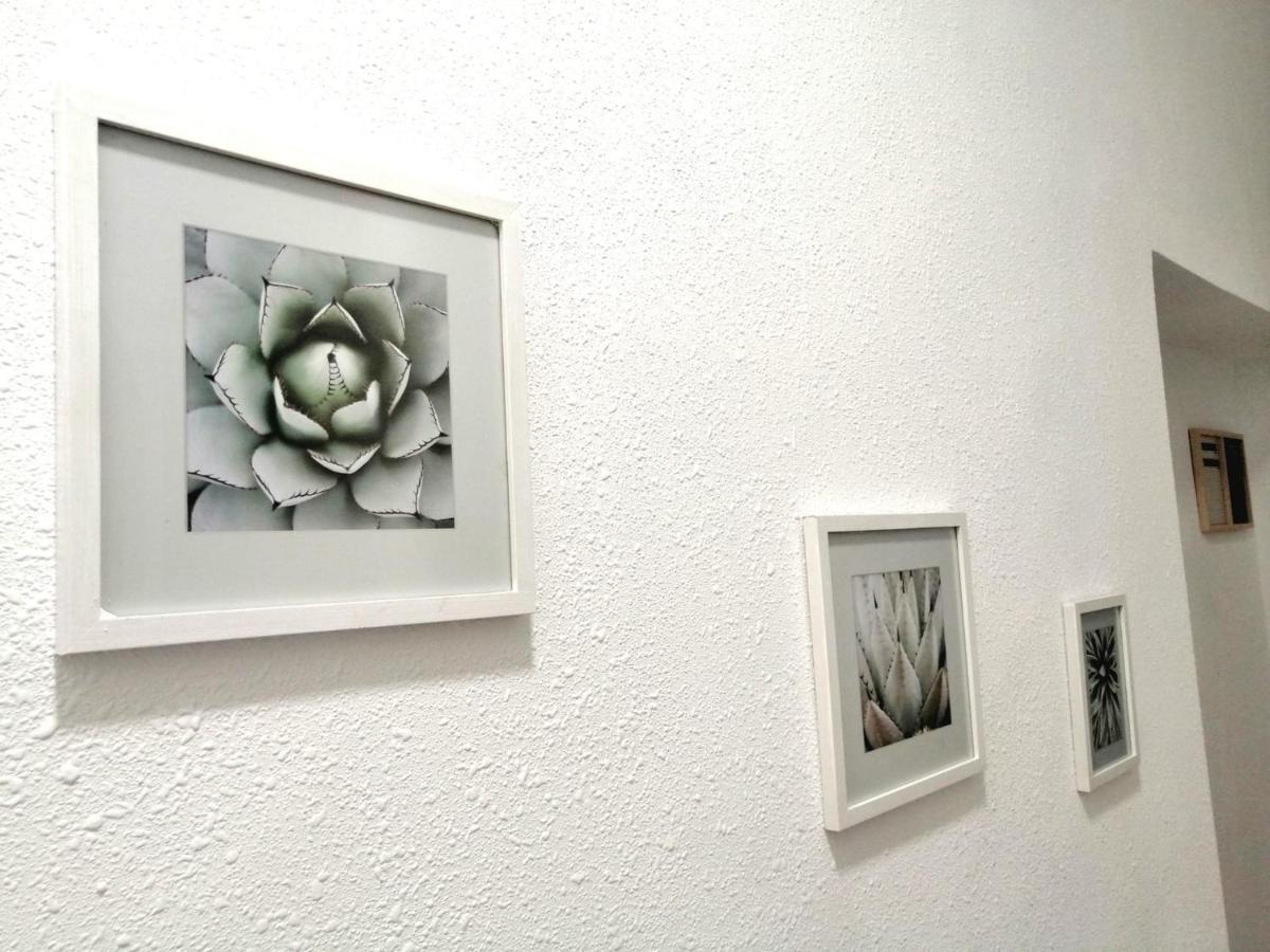 Room In The Center Of Alicante! Bagian luar foto